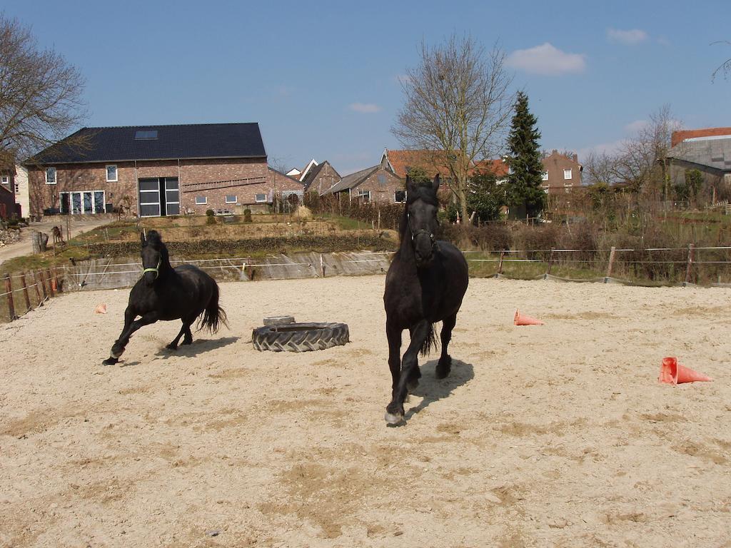 De Moolt Vakantiewoningen Eckelrade Quarto foto